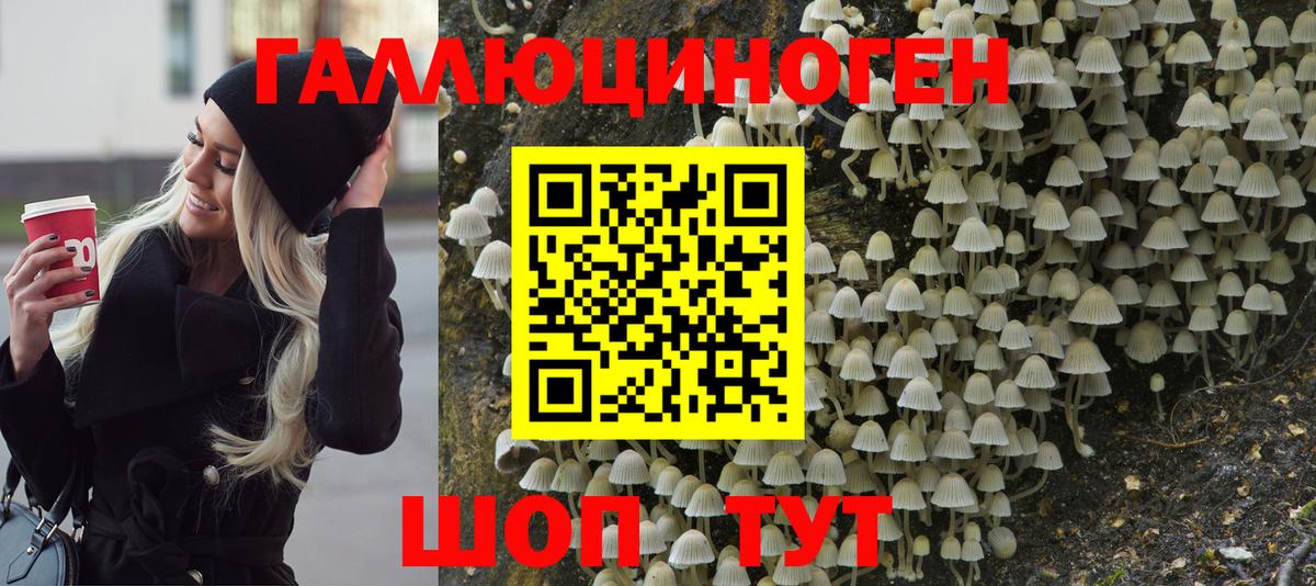 Псилоцибиновые грибы мицелий Москва
