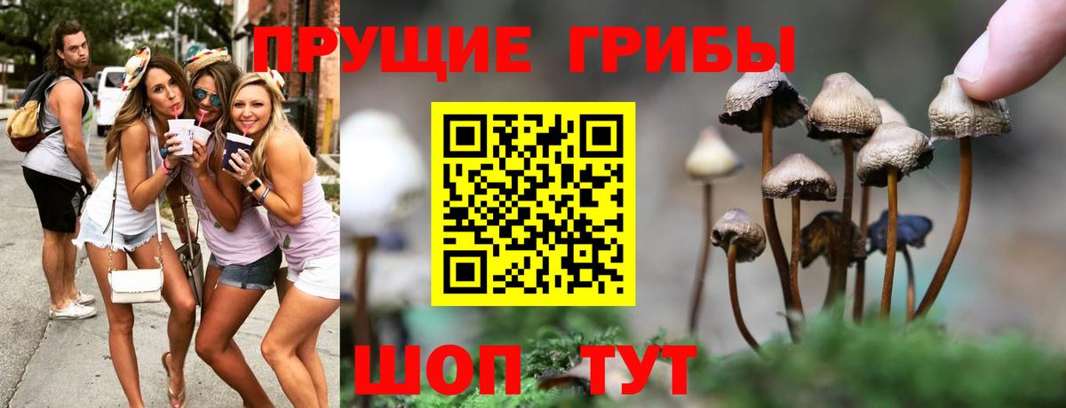 Москва  Псилоцибиновые грибы мухоморы  Вход с VPN 